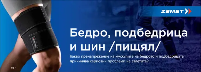 бедро, подбедрица и шин (пищял)